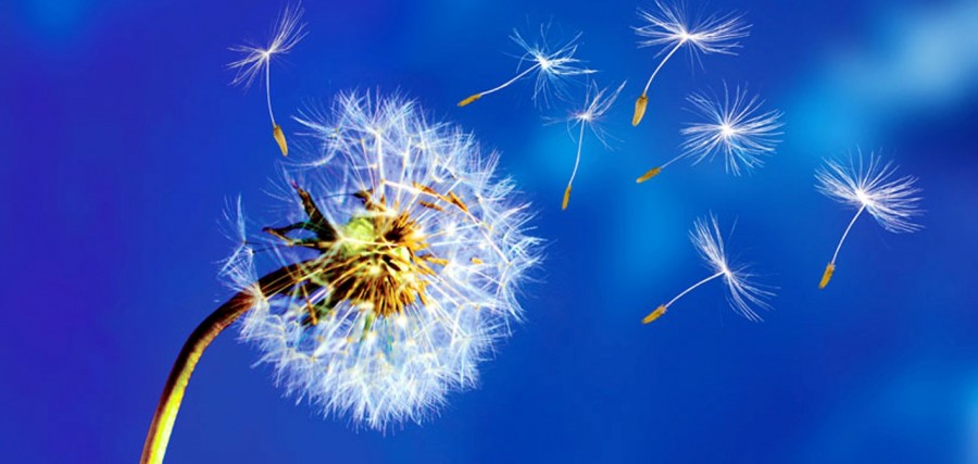 Email Success Stories 